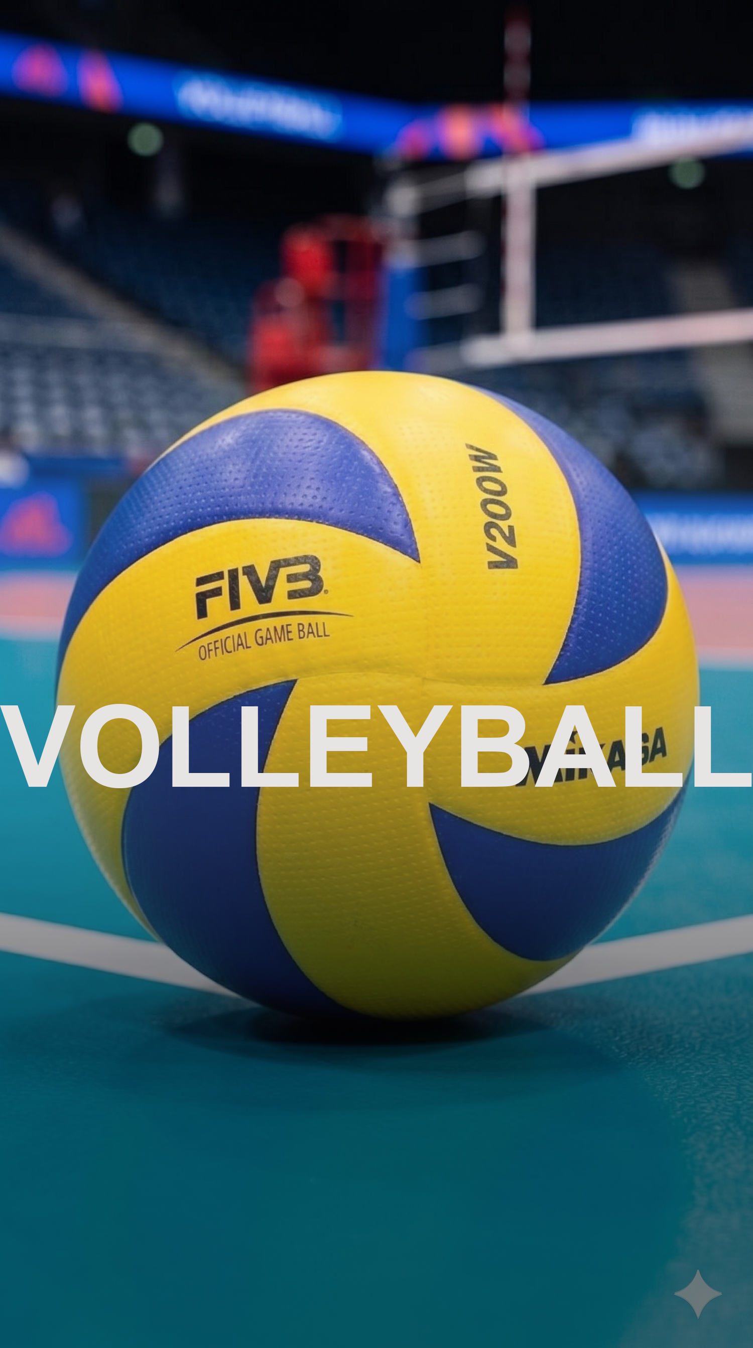 Volleyball